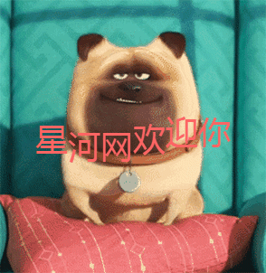 动态图.gif