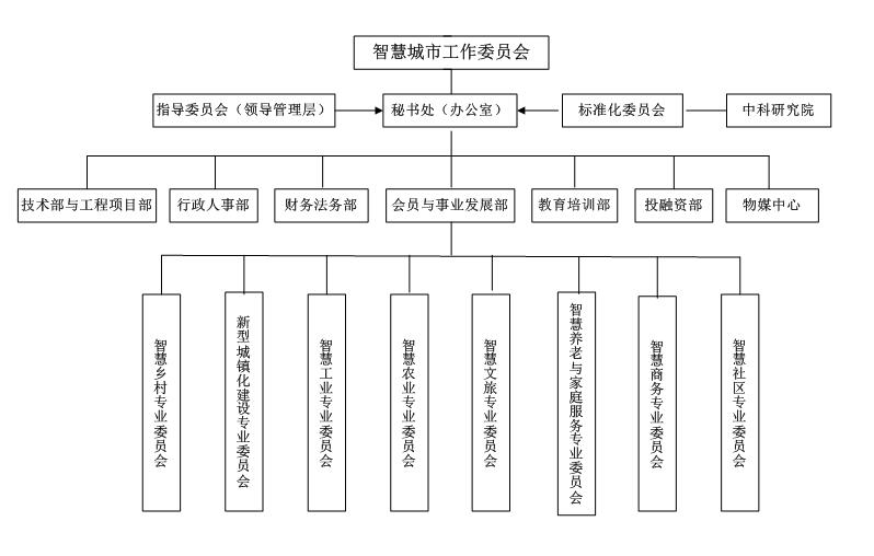  智慧城市工作委员会组织架构  