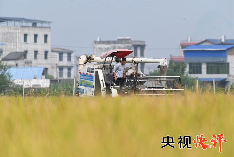 央视快评丨坚持党的全面领导 充分调动一切积极因素