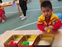 幼儿自主能力大赛