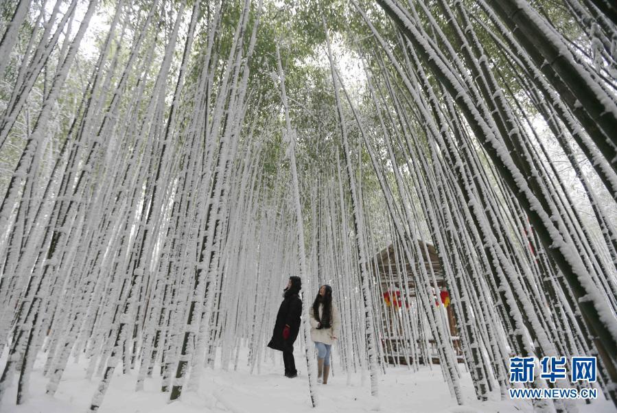 寒潮来袭 多地降雪